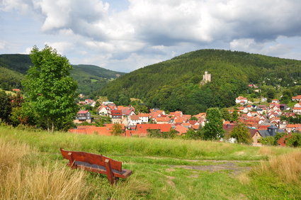 Blick auf Steinbach-Hallenberg
